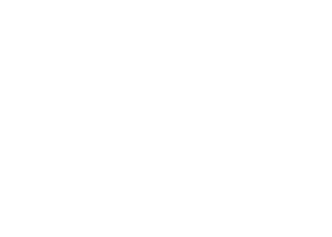 Opteam Logo